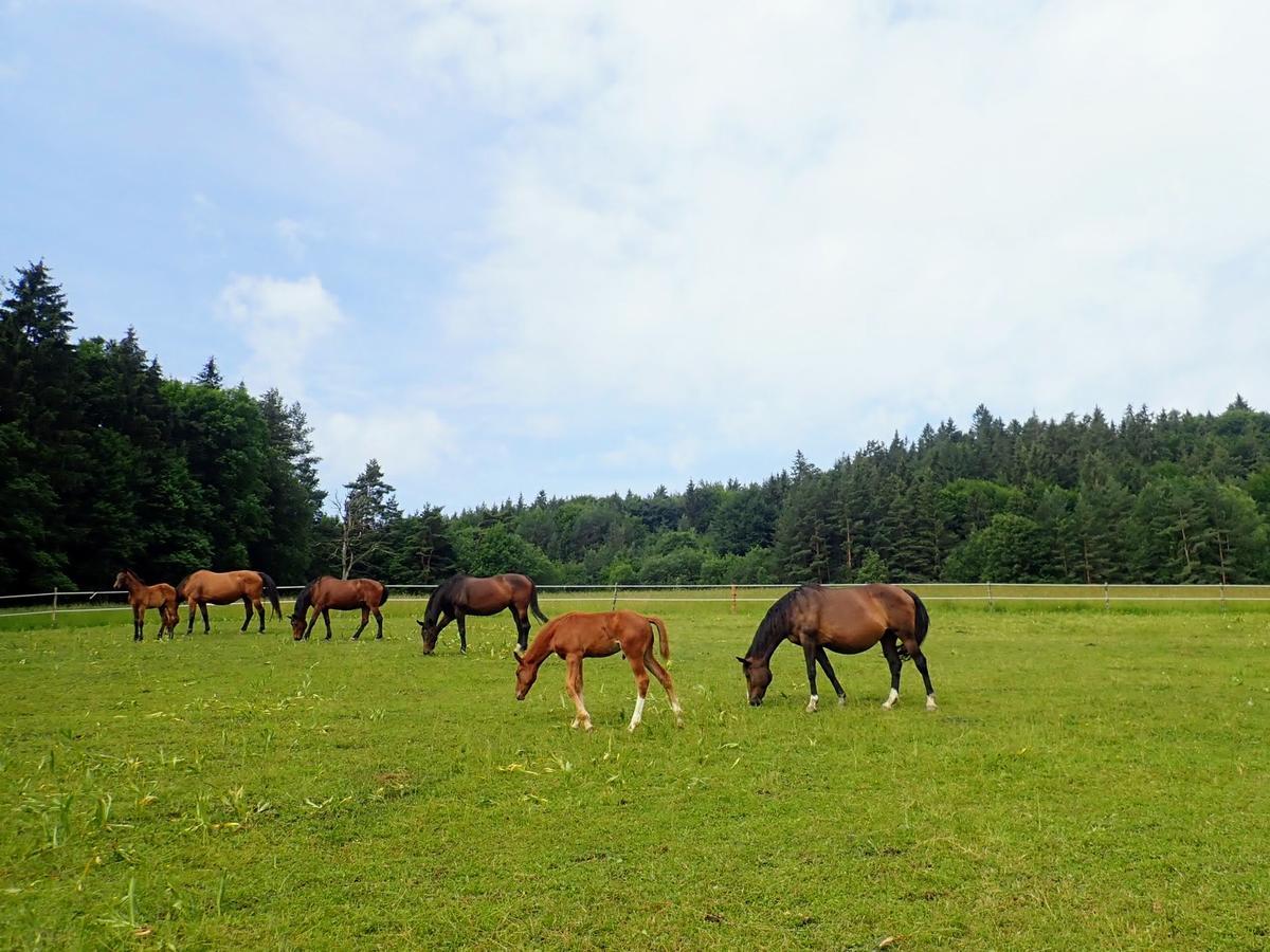 Zrebcin Mlyncok Appartement Slovenska Lupca Buitenkant foto