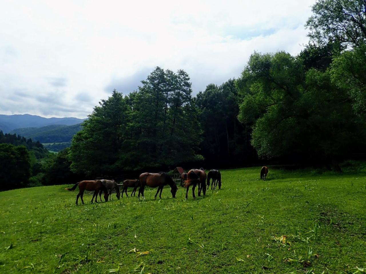 Zrebcin Mlyncok Appartement Slovenska Lupca Buitenkant foto