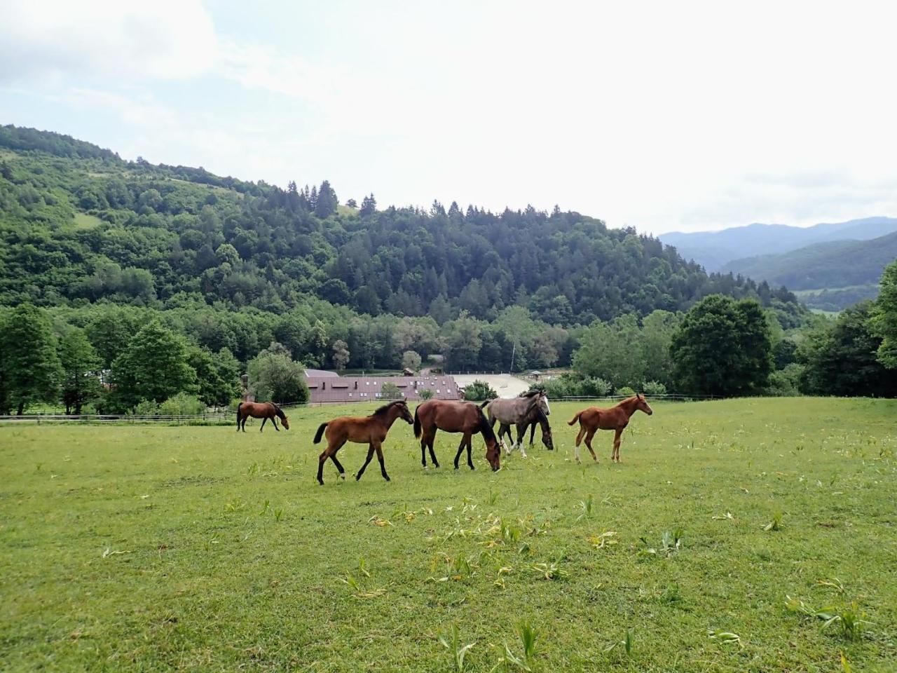 Zrebcin Mlyncok Appartement Slovenska Lupca Buitenkant foto