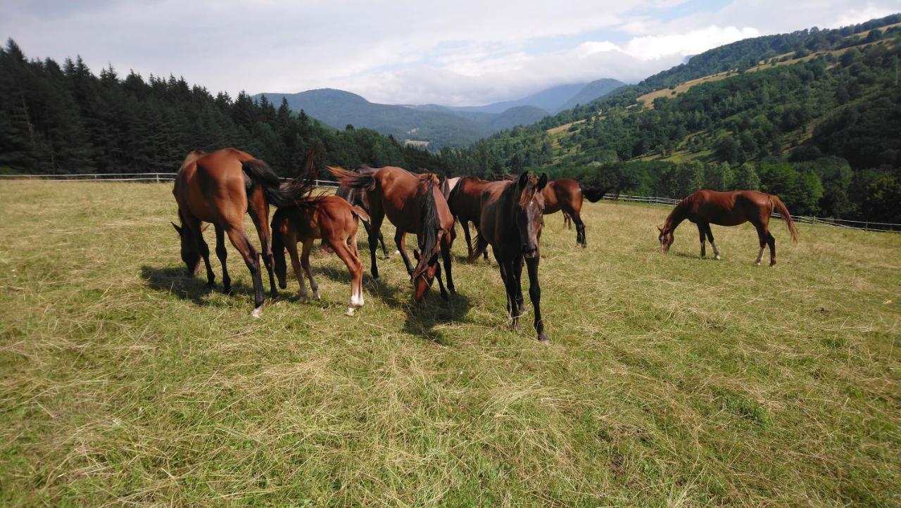 Zrebcin Mlyncok Appartement Slovenska Lupca Buitenkant foto